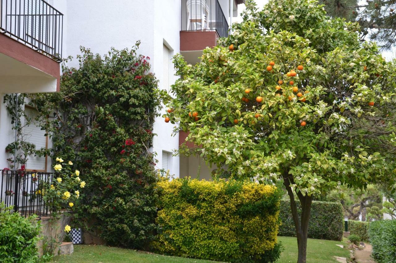 Apartamento Recien Reformado A 300 Metros Del Mar Calella De Palafrugell Exterior foto